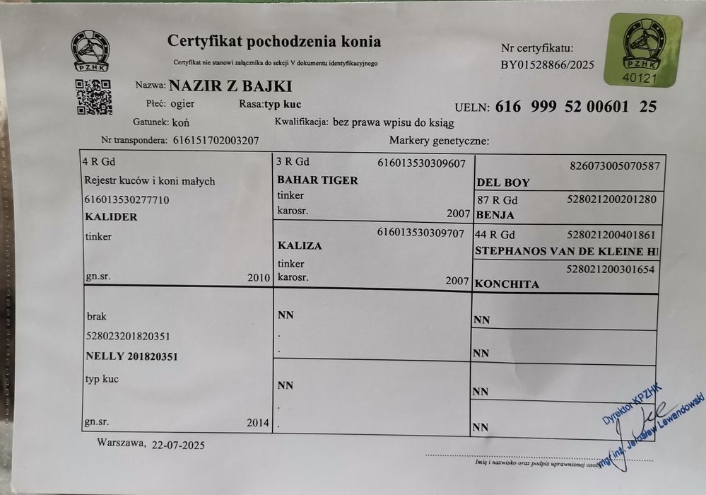 Sprzedam ogierka