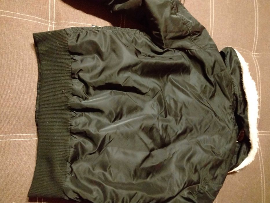 Kurtka męska Pit Bull