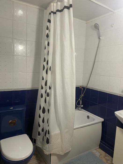 Подобова оренда будинку в Седніві(Седнев, Снов)