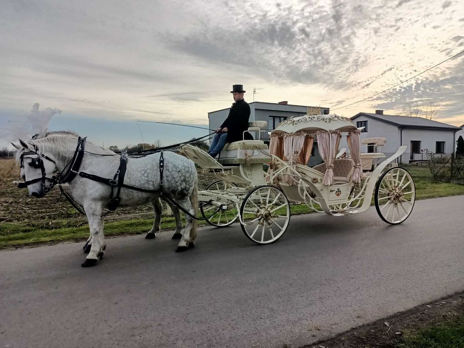Kareta ,powóz ,bryczka ,do ślubu