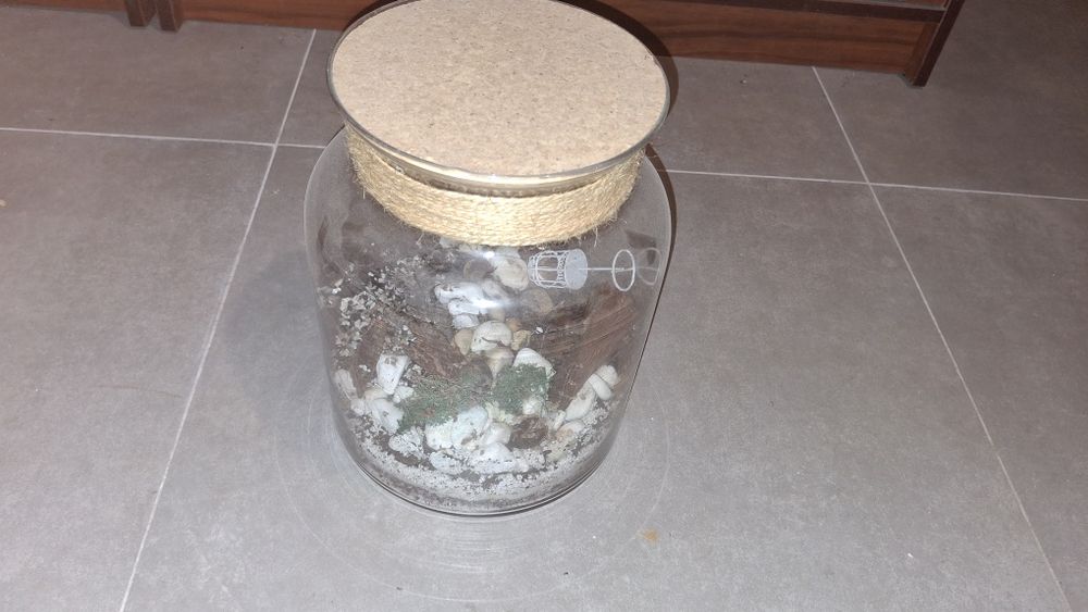 Szklany pojemik na rośliny,  słój