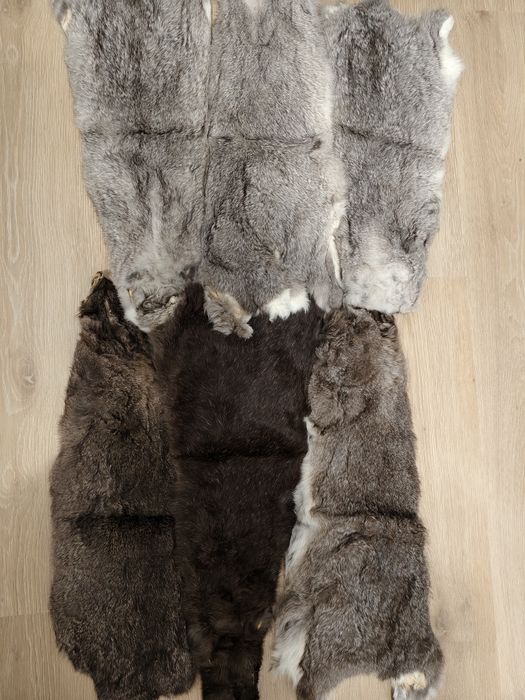 Кролячі шкури 6 штук