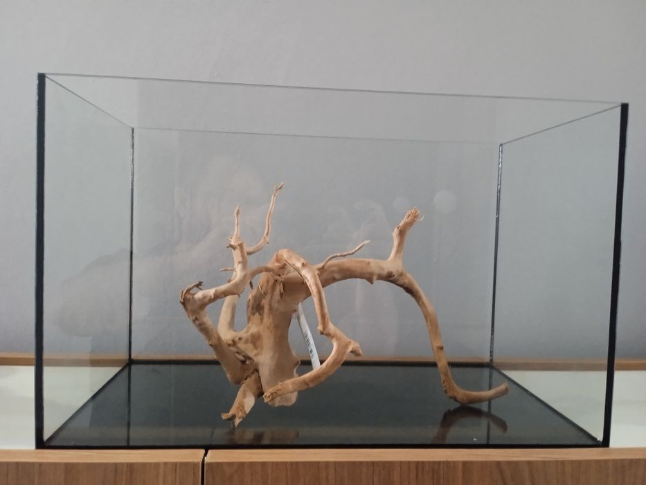 Aquário 45x25x28 com raiz incluída