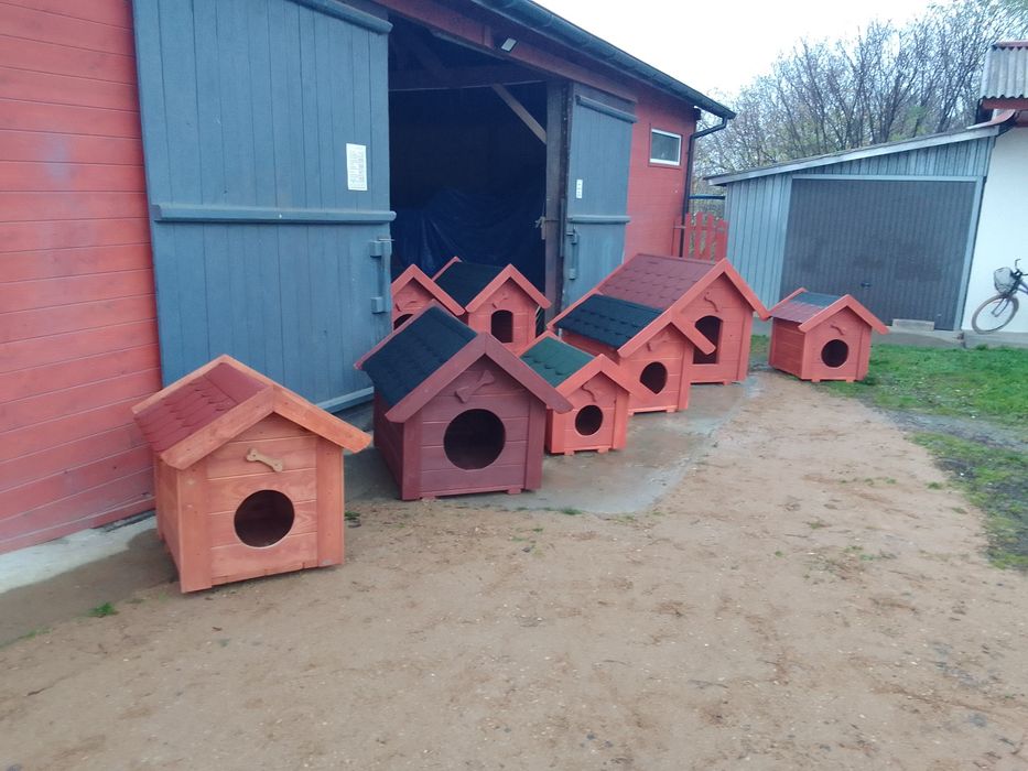 Buda dla psa, budy dla psów