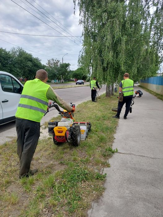 Косіння трави мульчер, газонокосилкою