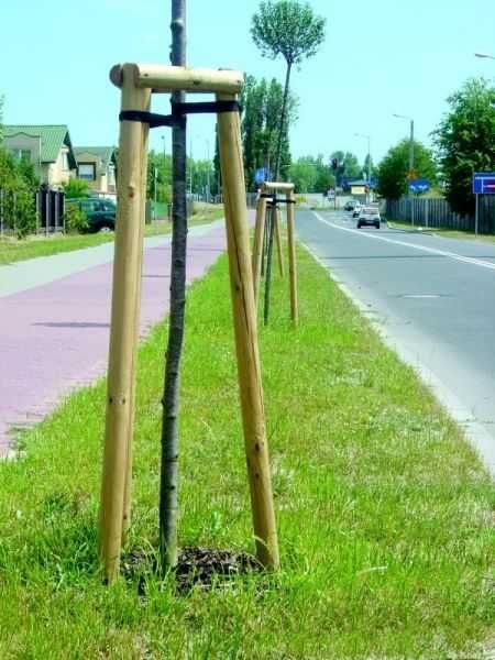 Palisada toczona Bale Kołki fi5 / fi6 / fi8/ fi10/ fi12 / fi14 / fi16