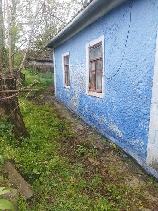Продається будинок,місце для пасіки