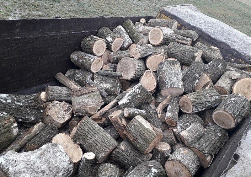 Продажа дров Запорожье Дуб Окация Ясень