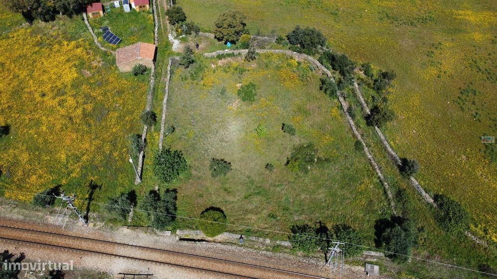 Terreno em Amarelos - 15 min Castelo Branco