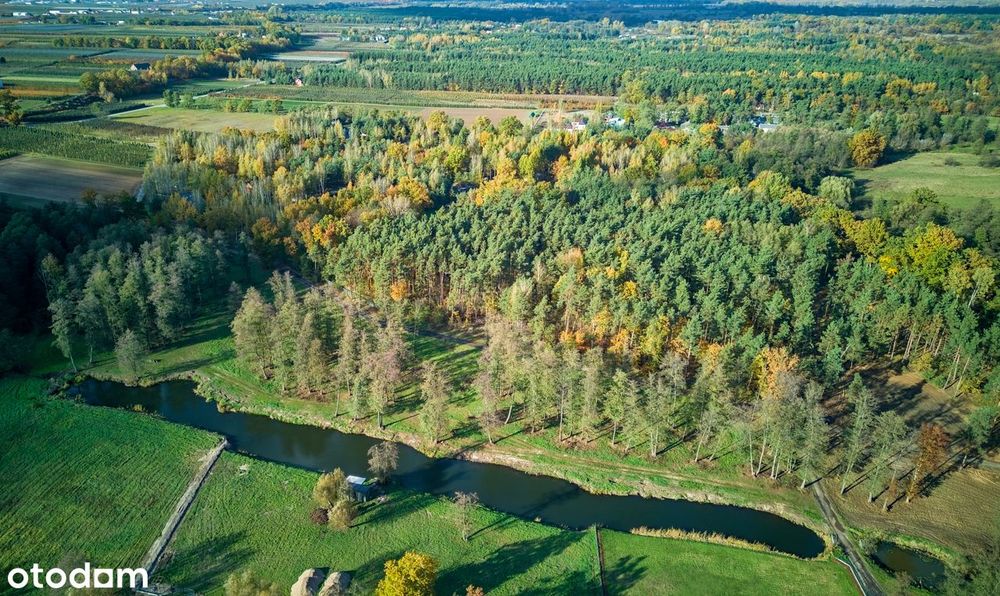 Działki nad wodą – Pilica k. Warki, dookoła las, cisza i spokój :)