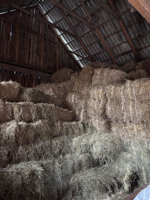 Sprzedam siano w kostkach