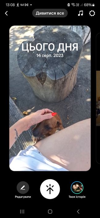 Цуцики великі не ростуть