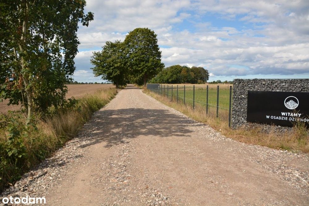 Budowlana - ściana lasu z dwóch stron - gwarancja prywatności.