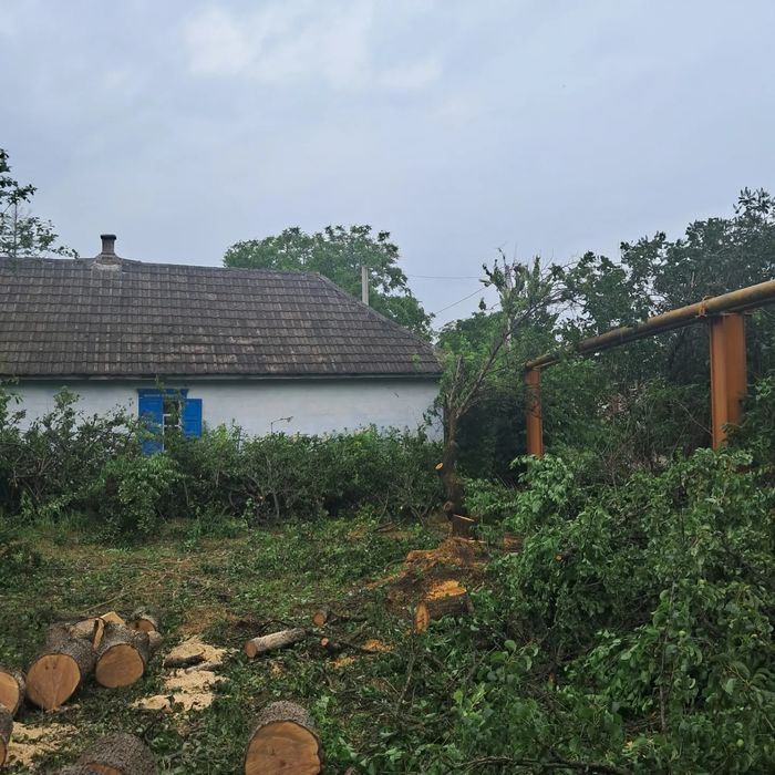 Спил Деревьев Уборка участка. Демонтаж зданий. Спил деревьев. Культива