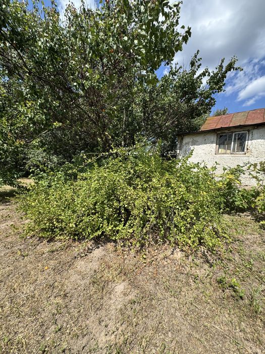 Данилівка продаж будинку 71 кв.м