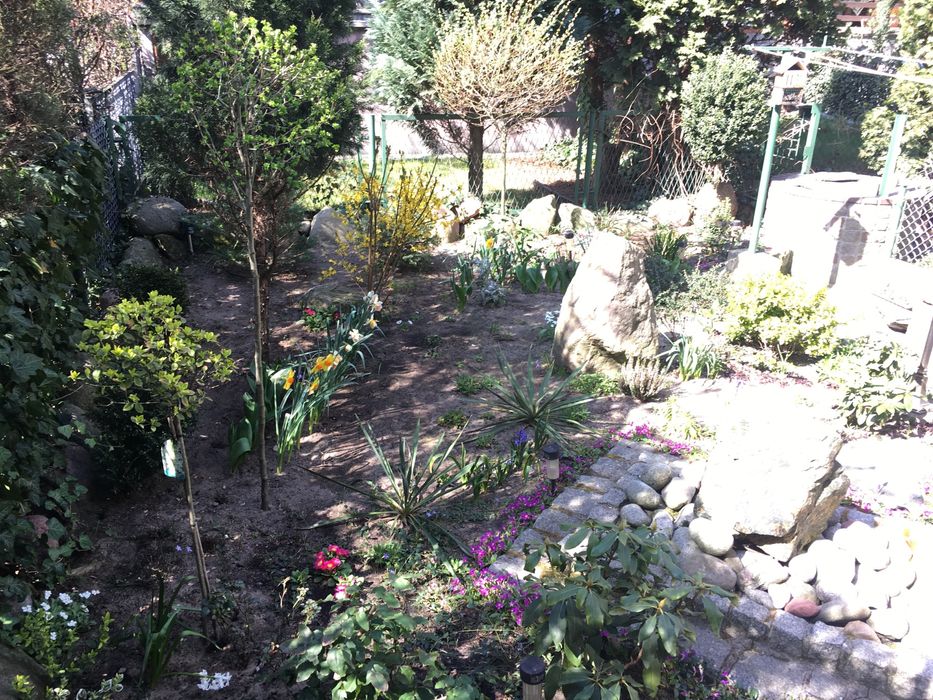 Pielęgnacja ogrodu, usługi ogrodnicze- atrakcyjne ceny!!!