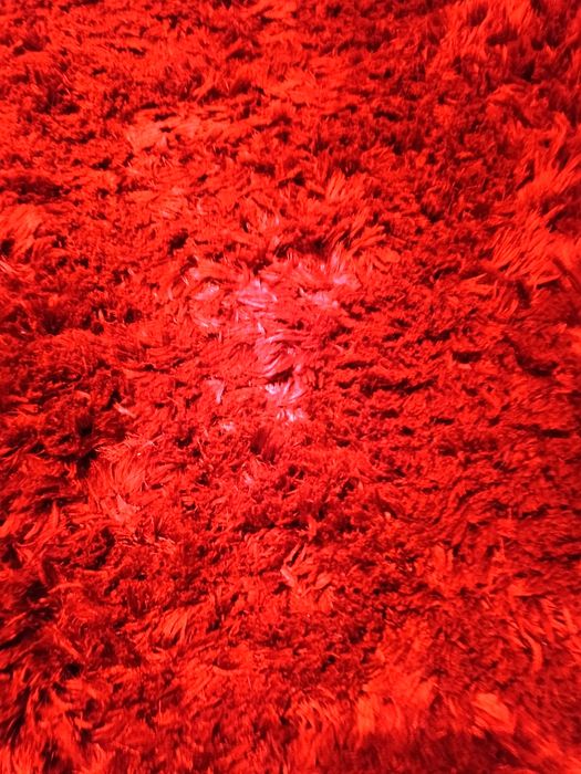 Tapete pelo comprido