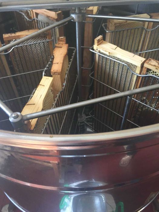 Продається пасіка