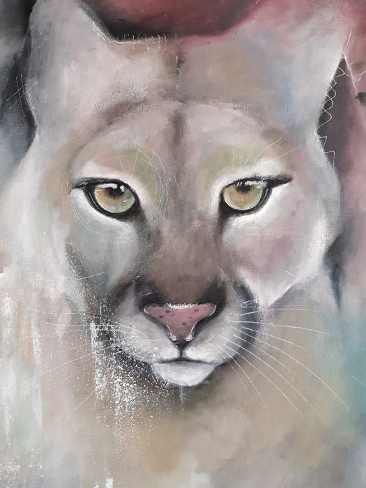Puma kotek z charakter.
