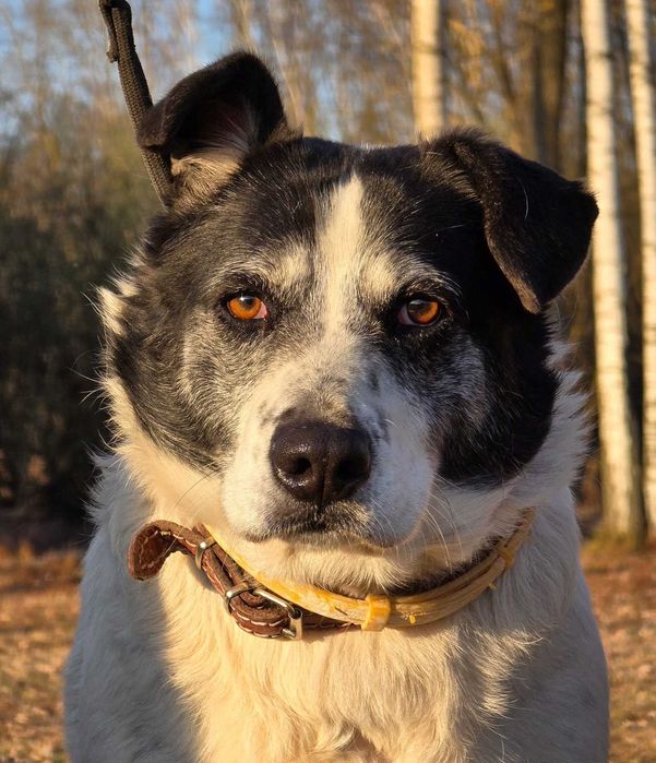 Lila - duże jest piękne