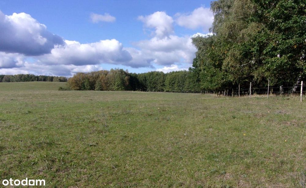 Atrakcyjna działka na skraju lasu media w drodze