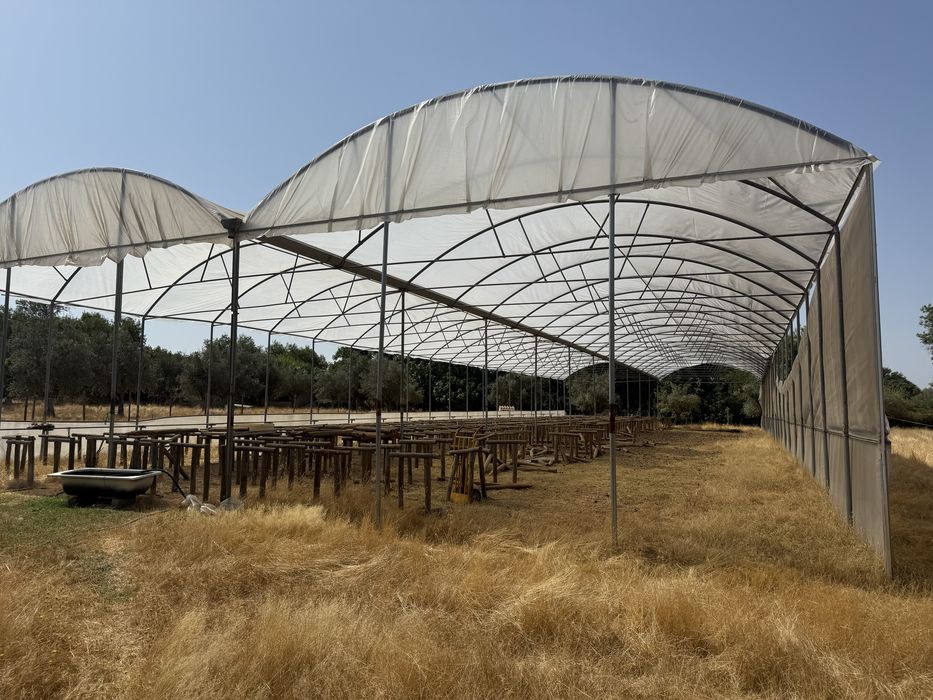 Estufa para produção agricola