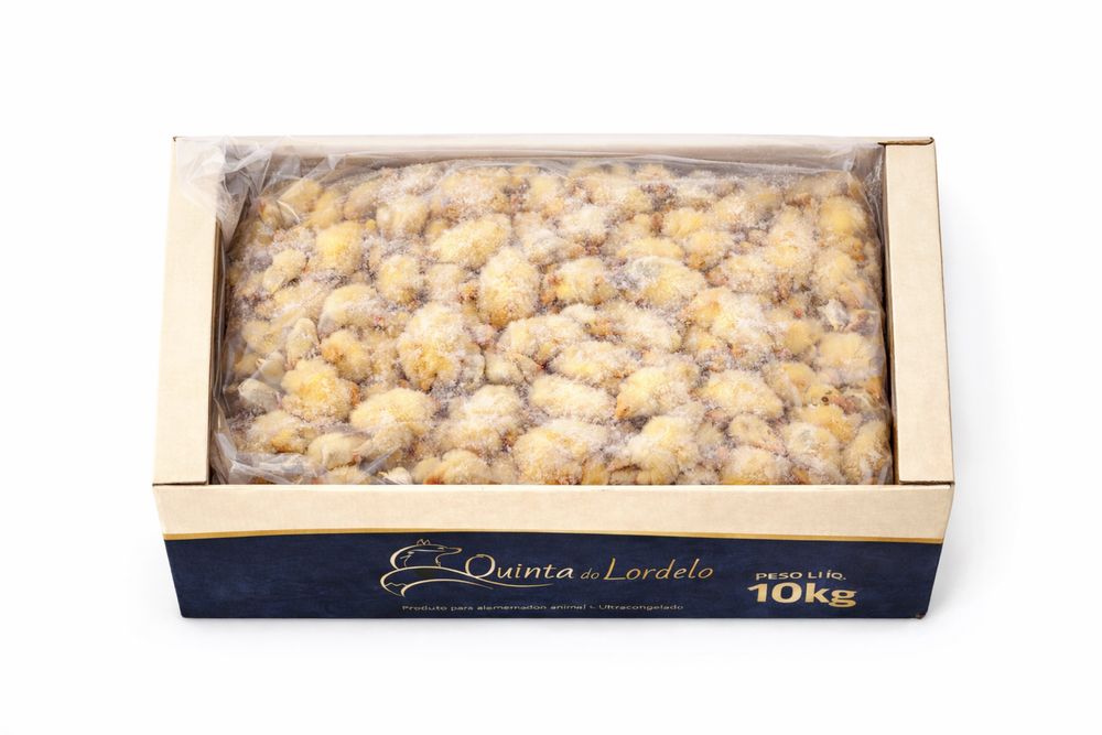 Pintos do dia - congelados - premium - Quinta do Lordelo