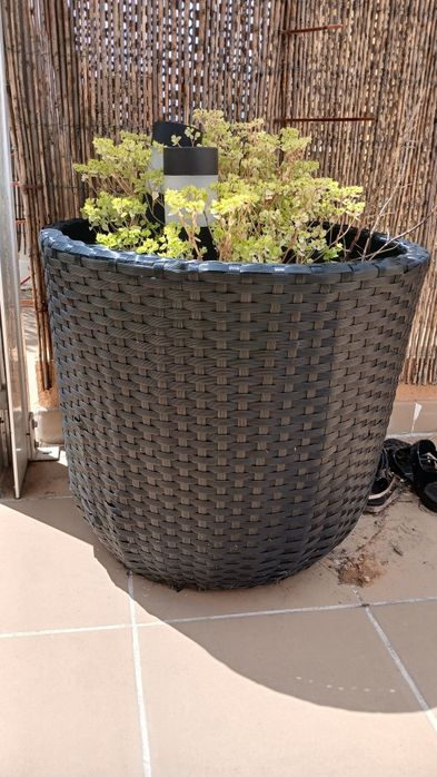 Vaso em rattan resistente e óptimo estado