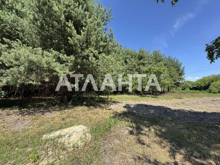 Продаж земельної ділянки в с. Паланки