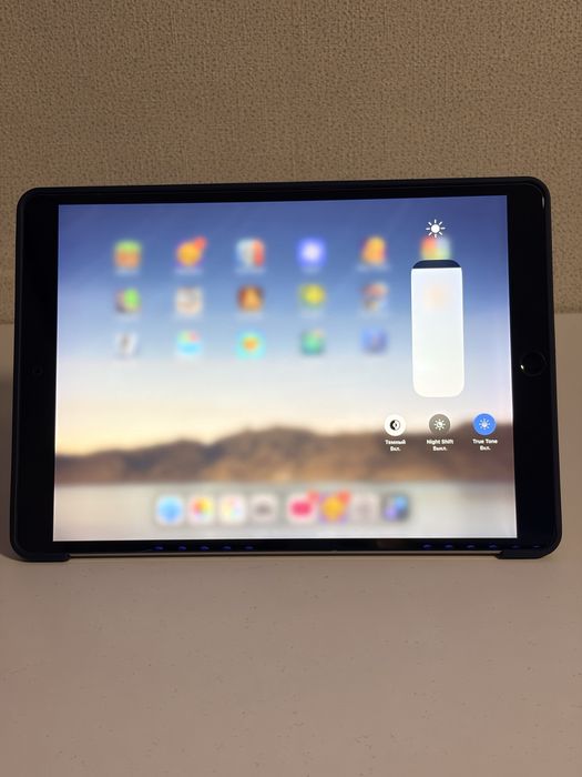 iPad Pro 10.5” 256GB LTE (2017) Space Gray ProMotion 120 Гц