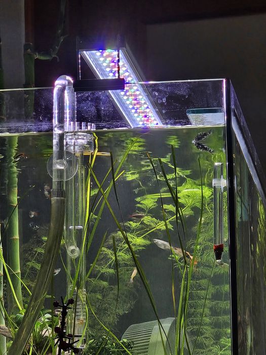 Vendo aquario Filtro Tetra