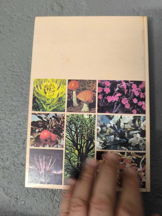Dicionário de Botânica Ilustrado
