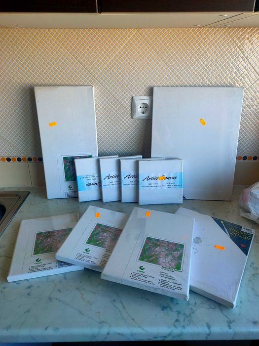 Lote de telas de pintura