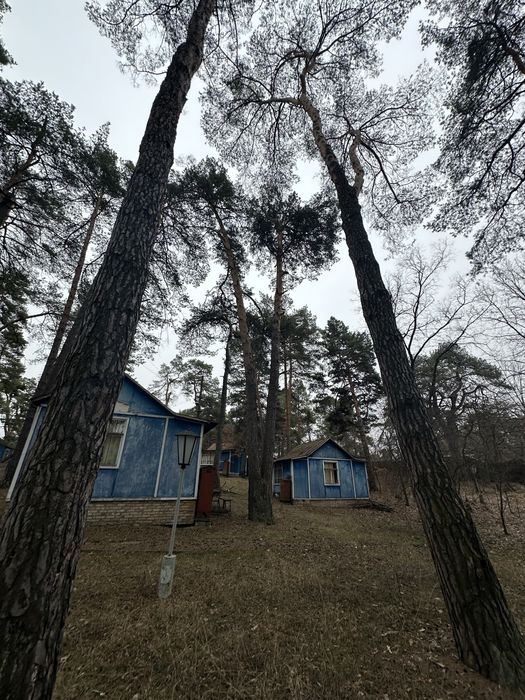 Продаж Бази Відпочинку .  Вишгород село Новосілки ТП Світло 160 кіловат . ГАЗ , Річка водойма 5 хв