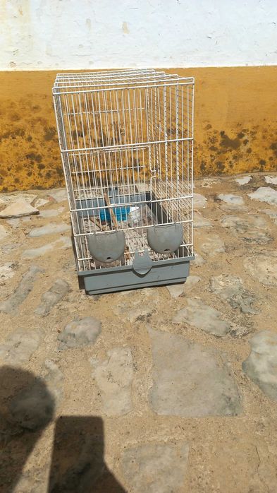 Gaiola para pássaros