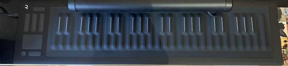 Roli Seaboard Rise 49
