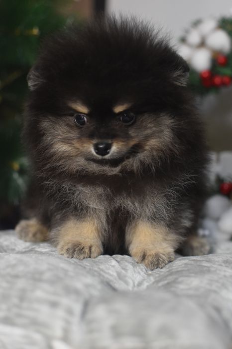 Хлопчик Чудовий