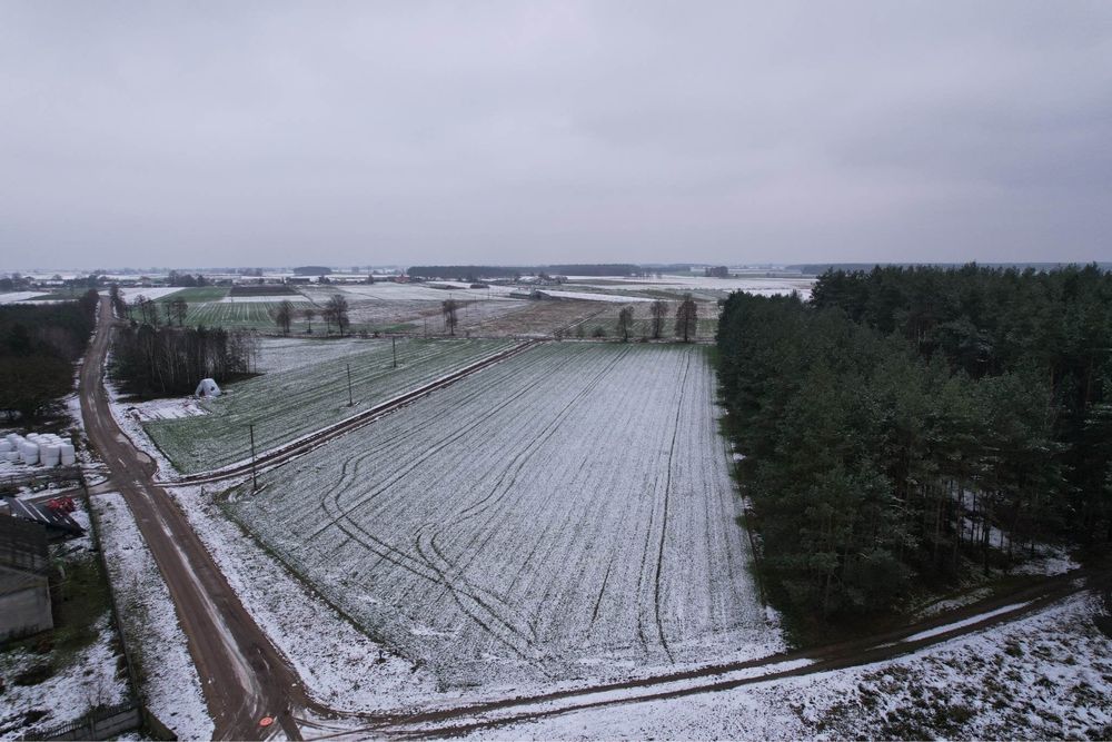 Działka budowlana z prywatnym lasem 3850 m² - Widok 4