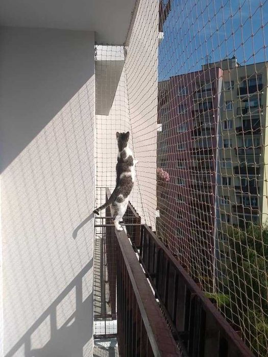 Siatka na balkon, siatka dla kota, siatki przeciw gołębiom