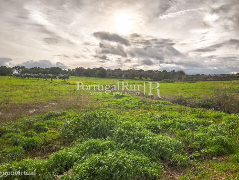 Terreno de 4,5 ha com licença para construção em Elvas