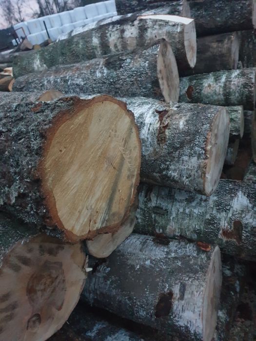 Drewno opałowe sosna .brzoza