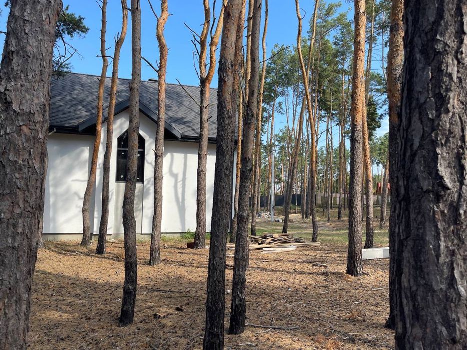 Идеальный уголок в Лесной Буче: Дом с Участком в Сосновом Лесу!