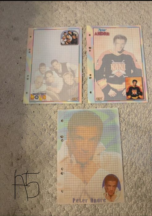 3 karteczki do segregatora a5 the backstreet boys peter andre dianey