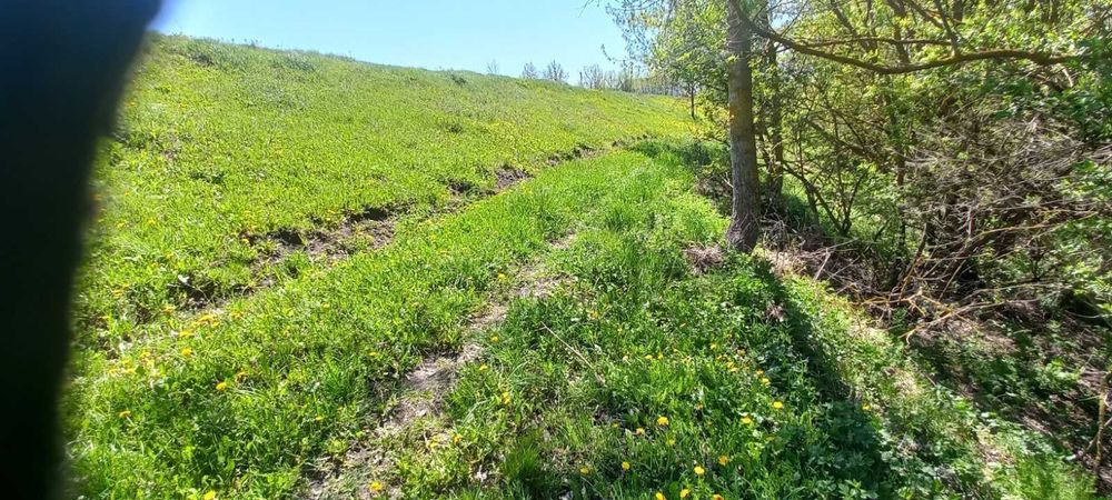 Продам будинок Уланів ( село Рибчинці )