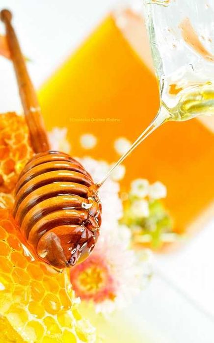 Miód słonecznikowy 0,9l