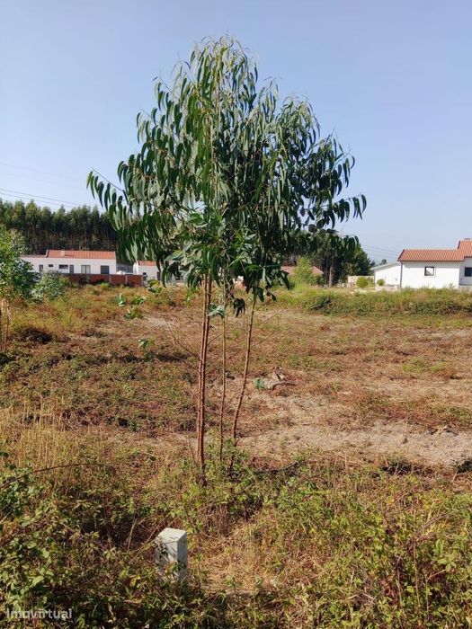 Terreno com projecto aprovado, no Cidral, em Rio Maior — Rio Maior, Santarém