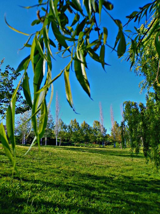Fotos profissionais de produtos – preços acessíveis