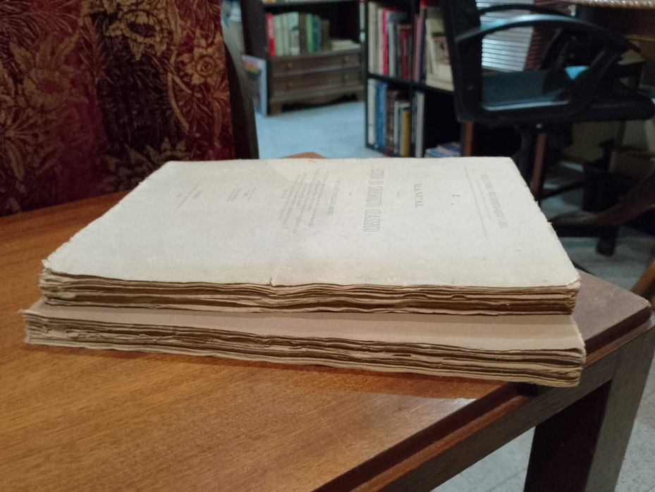 Manual Estudo do Sãoskrito Clássico 1881/1891 G. de Vasconcellos Abreu