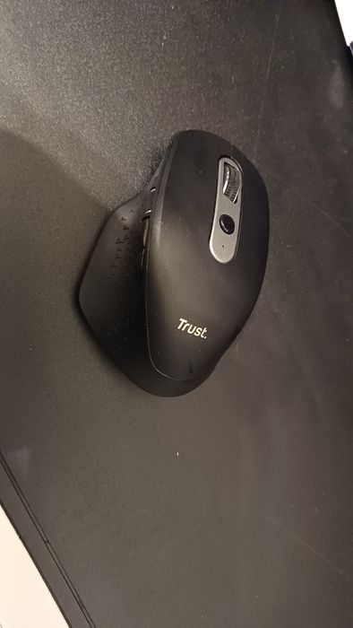 Rato ergonomico Trust Ozaa Novo