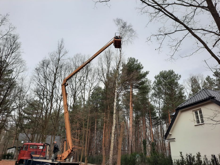 Kompleksowe Usługi Porządkowe